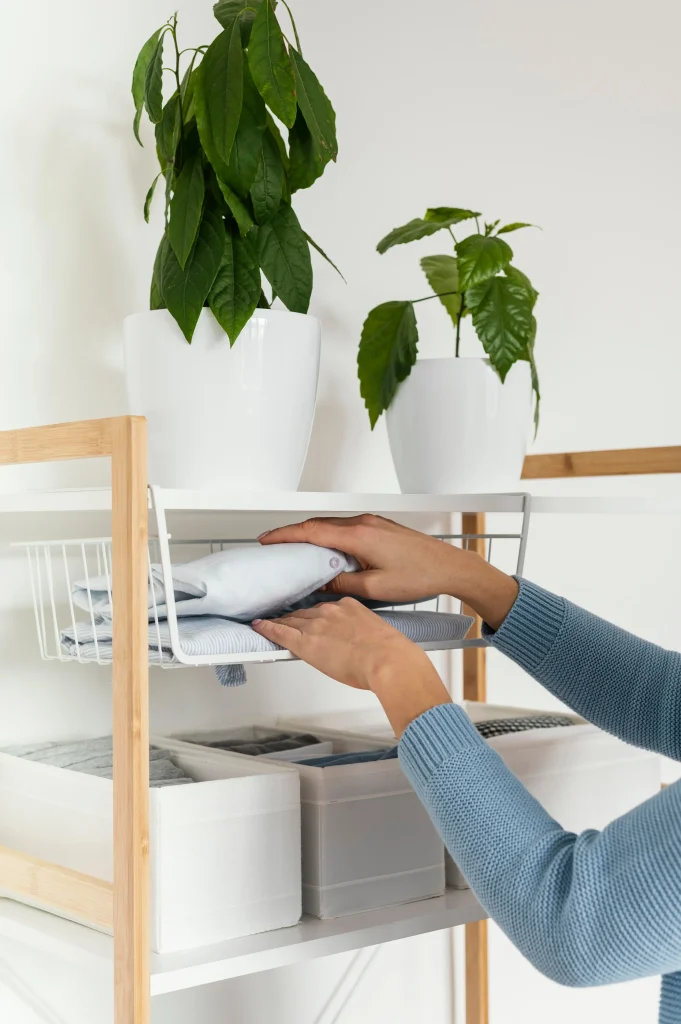 Verdades e Mitos Sobre a Organização: O Que Você Precisa Saber